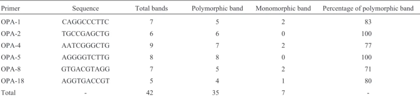 Table 2 - Polymorphism pattern of each primer selected for the genetic analysis of natural populations of E