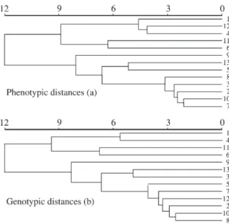 Figure 1 - Pattern of phenotypic (a) and genotypic (b) variation among the Eugenia dysenterica DC populations defined by the UPGMA clustering.