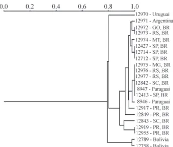 Figure 3 - Similarity dendrogram of Xanthomonas axonopodispv. citri in- in-ferred from genomic profiles obtained by pulsed field gel electrophoresis and constructed with the software package NTSYS, using the UPGMA method (Rohlf, 1993).