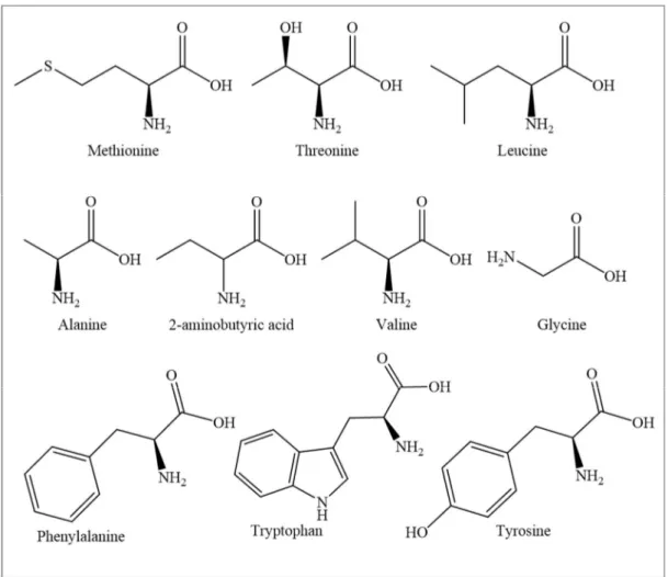 Figure 1.3. Chemical structures of amino acids separated with IL-based ABS. 