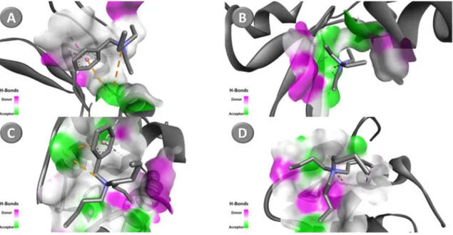 Figure  3.7.  Docking  pose  with  the  lowest  absolute  value  of  affinity  for  lysozyme  with:  (A)  [N 222(C7H7) ] + , (B) [N 2222 ] + , (C) [N 444(C7H7) ] +  and (D) [N 4444 ] + 