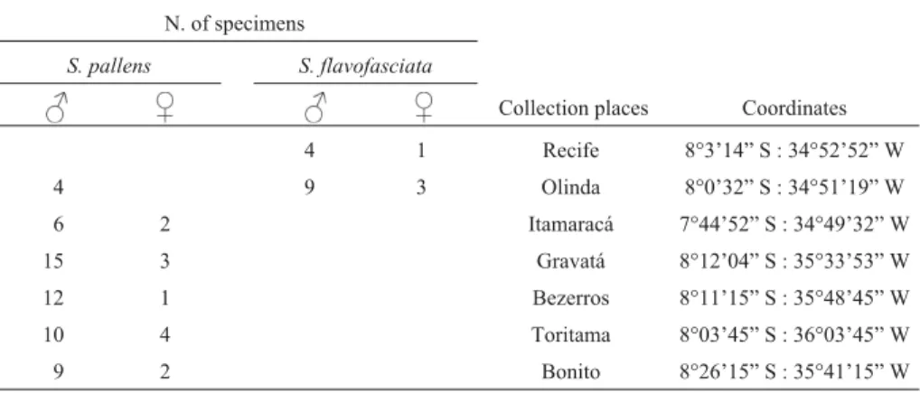 Table 1 - Specimens of Schistocerca pallens and S. flavofasciata analyzed, collection places and geographical coordinates.