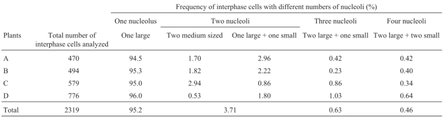 Table 1 - Frequencies of silver-stained interphase cells presenting different numbers of nucleoli in four Crotalaria juncea plants.