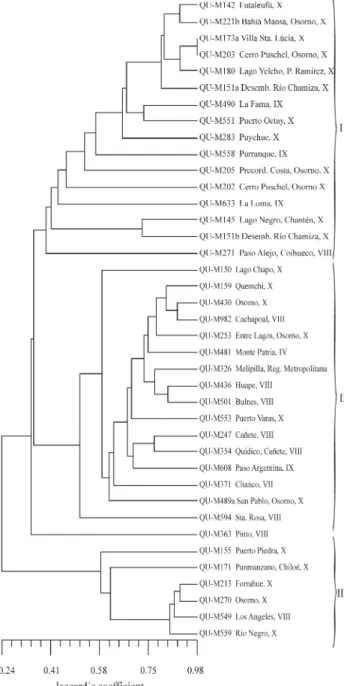 Figure 1 - Dendrogram based on random amplified polymorphic DNA (RAPD) analysis of 39 Chilean isolates of Metarhizium anisopliae var.