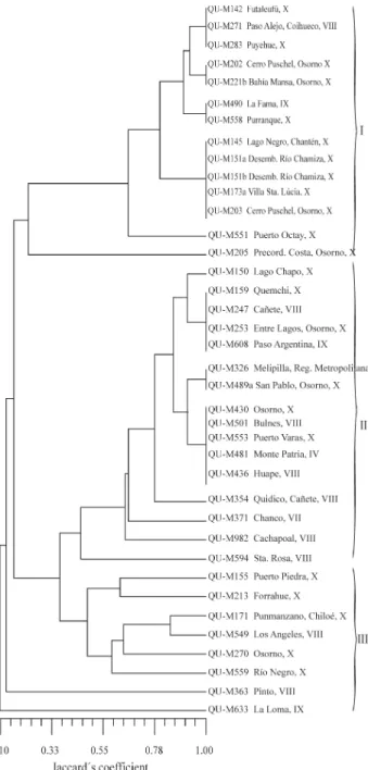 Figure 2 - Dendrogram based on simple sequences repeat (SSR) analysis of 39 Chilean isolates of Metarhizium anisopliae var