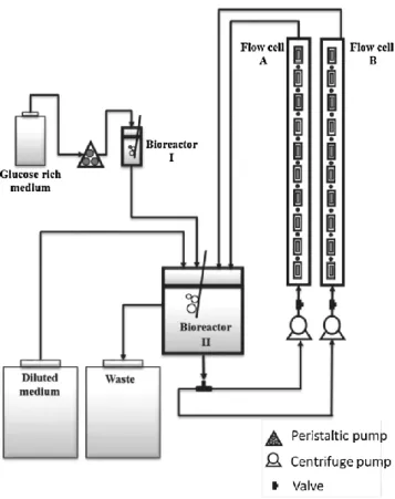 Fig. 3 –  Schematic representation of the ﬂow cell system. 