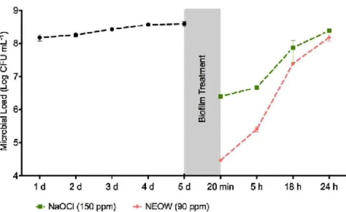 Fig.  5  –  Planktonic  microbial  load  on  Bioreactor  II.  Bioﬁlms  formed during 5 days (•)  were treated during 20 min with NaOCl (•, 150 ppm) and NEOW (+, 90 ppm)