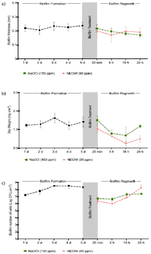 Fig. 6 – Bioﬁlm formation during 5 days (•) and regrowth ability after treatment during  20 min with chlorine from sodium hypochlorite (•, NaOCl, 150 ppm), and chlorine from   neutral  electrolyzed  oxidizing  water  (+,  NEOW, 90 ppm); a) bioﬁlm thickness