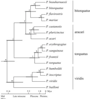 Figure 3 - Chronogram and phylogenetic relationships among Pteroglossus. Node names as in Table 1 are indicated to the left of nodes.