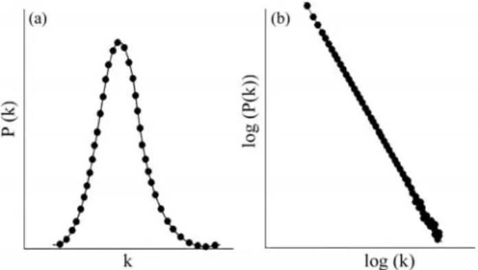 Figure 1 shows an undirected and a directed network and their respective adjacency matrices