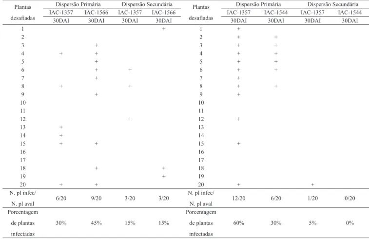 Tabela 1. Dispersão primária e secundária de ToSRV para genótipos de Capsicum spp. utilizando  B