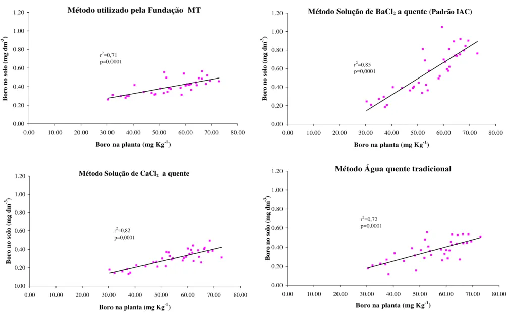 Figura 7. Boro no solo, extraído pelos diferentes métodos de extração, correlacionado com o boro presente no tecido vegetal, ano  agrícola 99/00