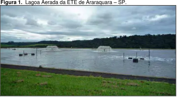 Tabela 2. Módulos de tratamento das Lagoas da ETE de Araraquara (SP). 