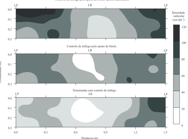 Figura 3. Densidade radicular da cana-de-açúcar, na camada de 0,00 – 0,30 m, nos seguintes sistemas de manejo com controle  de tráfego por meio do ajuste da bitola e uso de piloto automático, e por meio do ajuste da bitola apenas; e testemunha sem  control