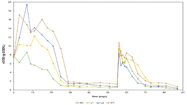 Figure 7  presents  the evolution  of  COD soluble  (sCOD)  inside  the  reactors.  As can  be seen in this figure, in the beginning of the assays, the sCOD values were close to 8 g  COD/L, which is in accordance with the amount of substrate added to each 
