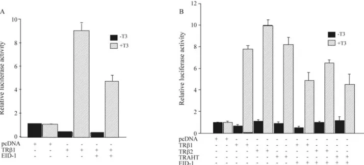 Figure 1 - The early region 1A (E1A)-like inhibitor of differentiation 1 (EID1) reduces ligand-bound thyroid hormone receptor (TR)-mediated transcrip- transcrip-tion of DR-4 reporter plasmids