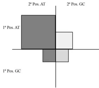 Table 5 - Mitochondrial codons and the absolute number of occurrences on the set of protein-coding genes of M