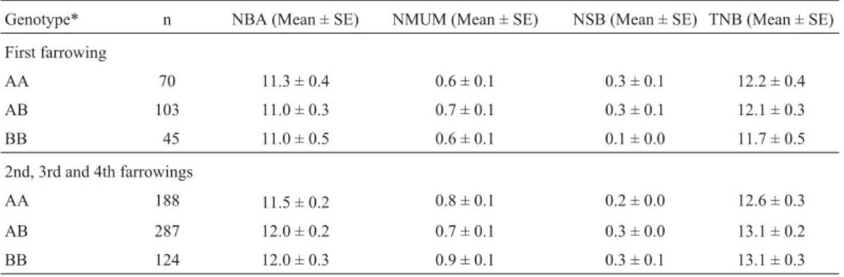 Table 3 - Association between retinol-binding protein 4 (RBP4-MspI) genotypes and mean number of piglets born alive (NBA), number of mummies (NMUM), number of stillborn piglets (NSB), and total number born (TNB) per litter at first parity and for all other