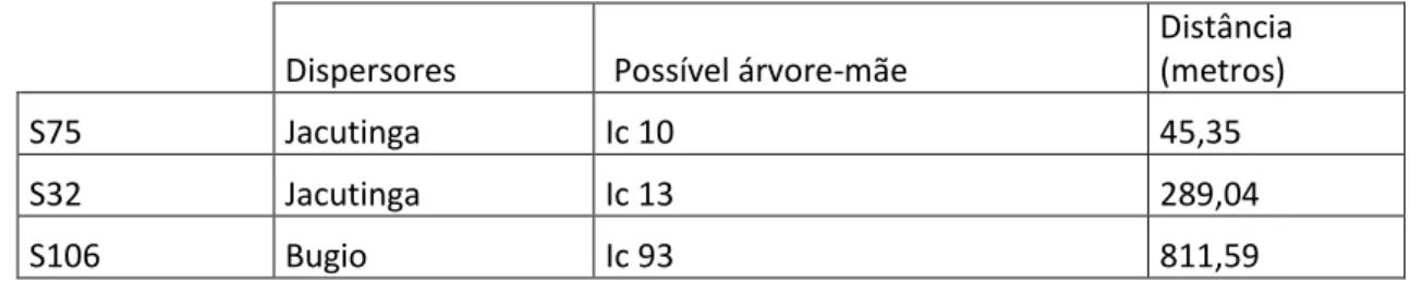 Tabela 5: Sementes, animal que realizou sua dispersão, possível árvore mãe correspondida por  genótipos, e a distância de dispersão em metros