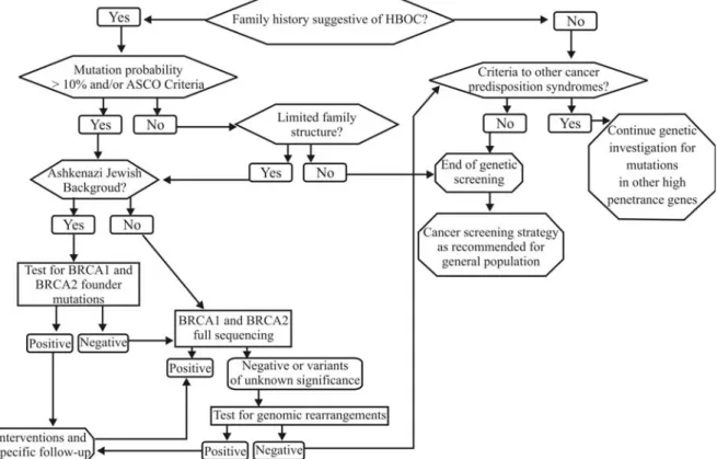 Figure 2 - Suggested approach for molecular investigation of hereditary breast and ovarian cancer (HBOC) families