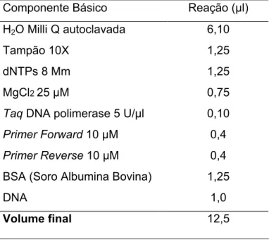 Tabela 4. Representação de um mix de PCR com seus componentes para os