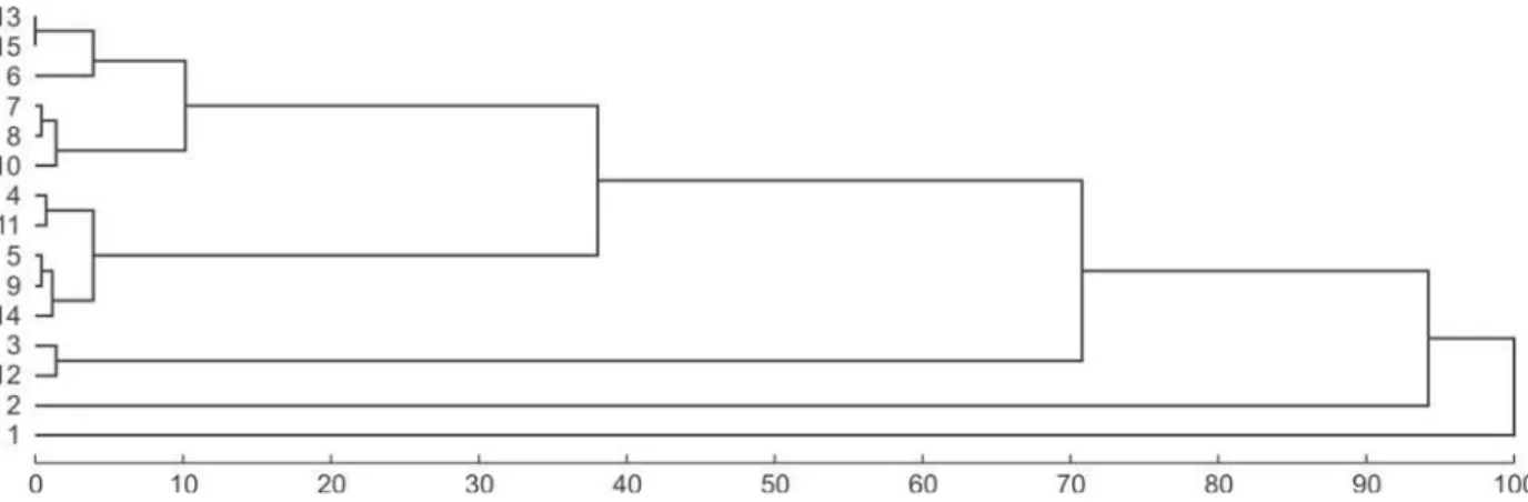 Tabela 3. Resultado do agrupamento de 15 acessos de mamona pelo método de Tocher.