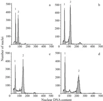 Figure 3 - Histograms of fluorescence intensities of nuclei isolated from the leaves of different lines of Bromus subgen
