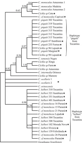 Figure 3 - Phylogenetic tree based on control region (CR) sequences in Cichla spp, and on haplotypes from the Tocantins River and several sites in southeastern Brazil, as well as Catu lake in northeastern Brazil