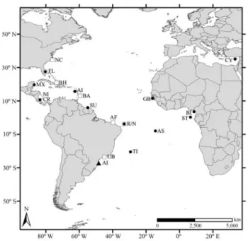 Figure 1 - Location of Arvoredo Island (AI - triangle) and other foraging and nesting areas used for comparison and Mixed Stock Analysis