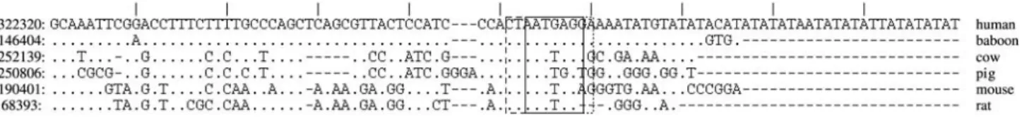 Figure 6 - A region from HoxC cluster exhibiting several blocks of good differential conservation, otherwise not obvious within the environment