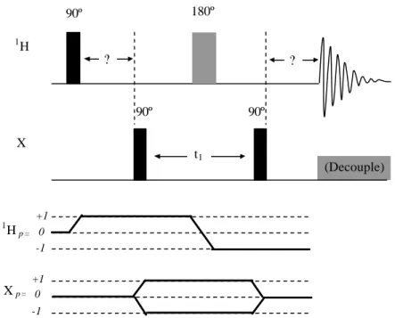 Figure II.9. Basic HMQC pulse sequence and associated coherence transfer pathway (Bax  et al.,  1983; Claridge, 1999)