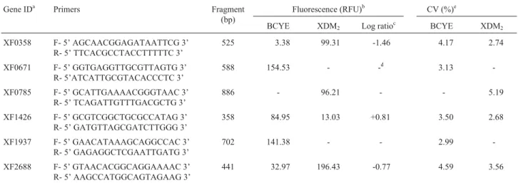 Table 1 - Nucleotide sequences of the primer used to detect cDNA, fluorescence and the coefficient of variation obtained in microchip electrophoresis.