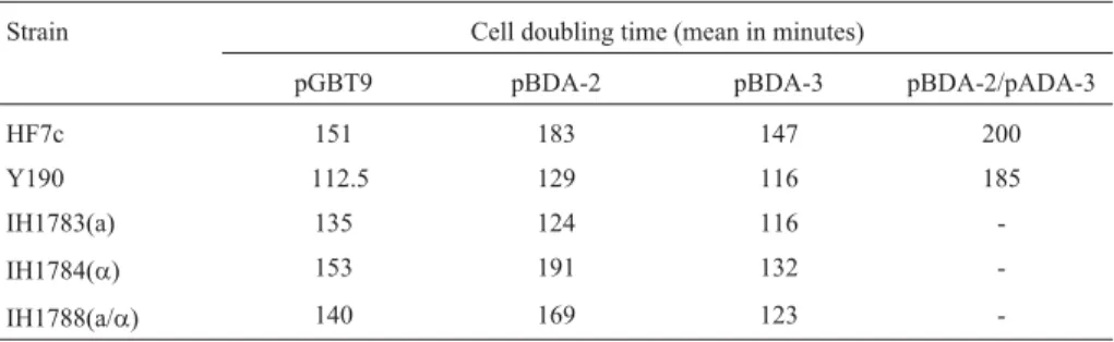 Table 3 - Doubling time of different yeast cells transformed with pGBT9, pBDA-2 and pBDA-3.