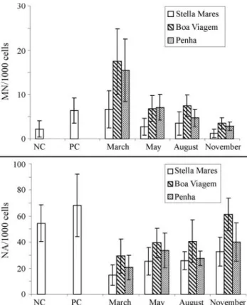 Figure 1 - Precipitation during four months of 2005 and mean frequency of micronucleated erythrocytes and nuclear abnormalities in B