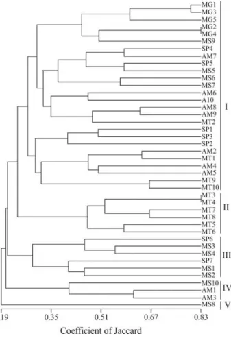 Figure 2 - Dendrogram obtained with the Jaccard similarity coefficient and UPGMA method, representing genetic relationships among 42  land-races of cassava (Manihot esculenta): MG1 to MG5 from Minas Gerais (group MG), SP1 to SP7 from São Paulo (group SP), 