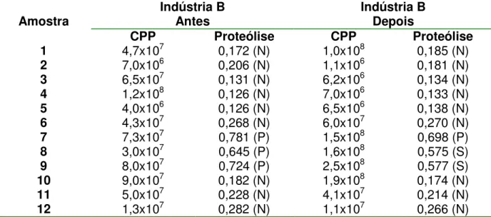 Tabela  6.  Relação  entre  a  contagem  padrão  em  placas  e  os  níveis  de  proteólise  observados nas amostras de leite de linha de processo UAT, imediatamente  antes e depois da centrifugação (resultados da indústria “B”)