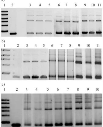 Figure 3 and Table 1 show the ability to join different com- com-plementary and non-comcom-plementary ends by extracts of  hu-man lymphocytes, K562 myeloid leukemia and A549 lung epithelial cancer cells