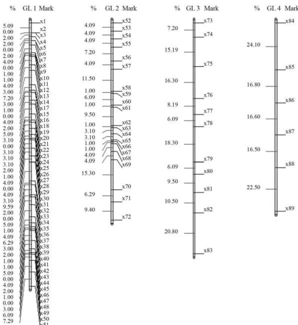 Figure 1 - Solutions for mark ordering through rapid chain delineation (obtained using GQMOL software) for a population of 50 individuals.