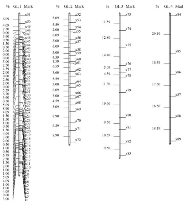 Figure 2 - Solution obtained for mark ordering through rapid chain delineation (obtained using GQMOL software) for a population of 100 individuals.