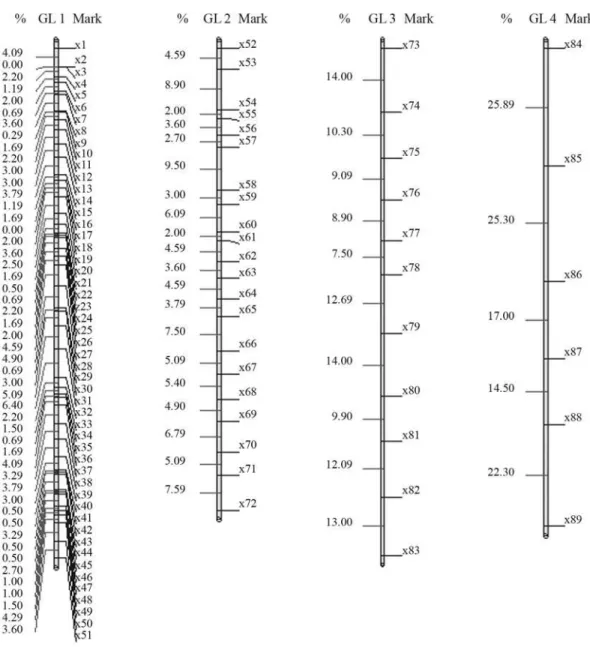Figure 3 - Solution obtained for mark ordering through rapid chain delineation (obtained using GQMOL software) for a population of 200 individuals.