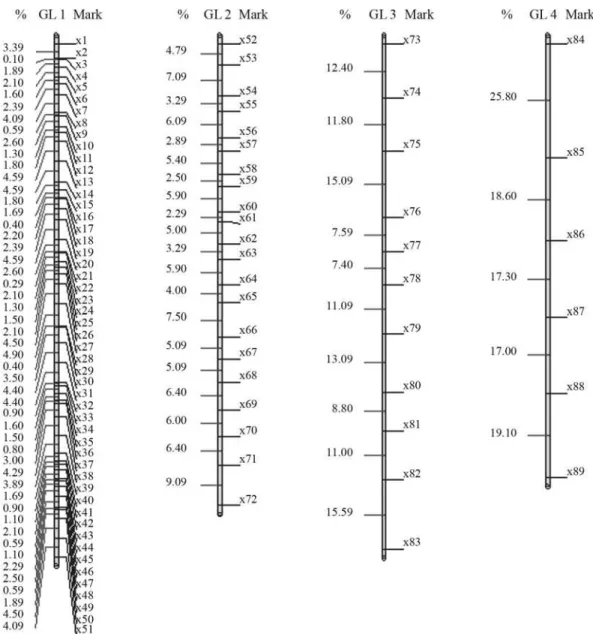 Figure 4 - Solution obtained for mark ordering through rapid chain delineation (obtained with GQMOL software) for a population of 1000 individuals