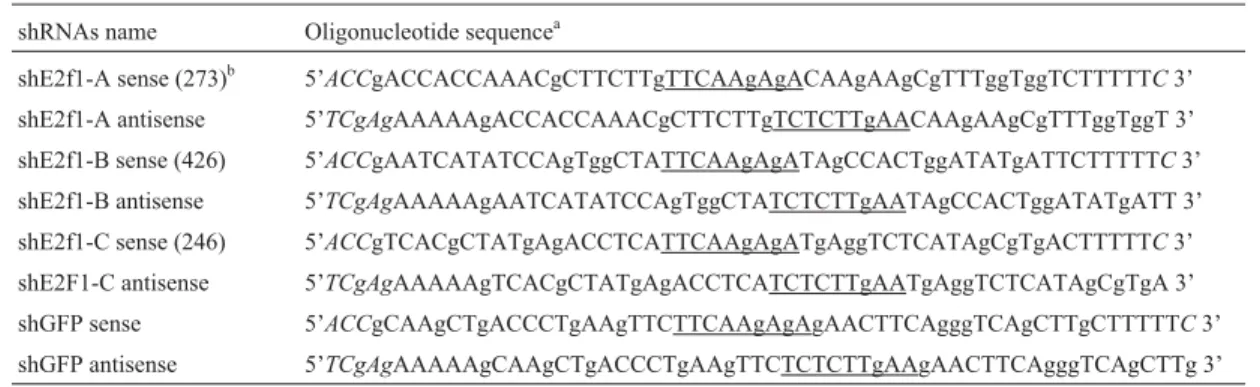 Table 1 - Oligonucleotide sequences to construct pBS/hU6-1 encoding different shRNAs.