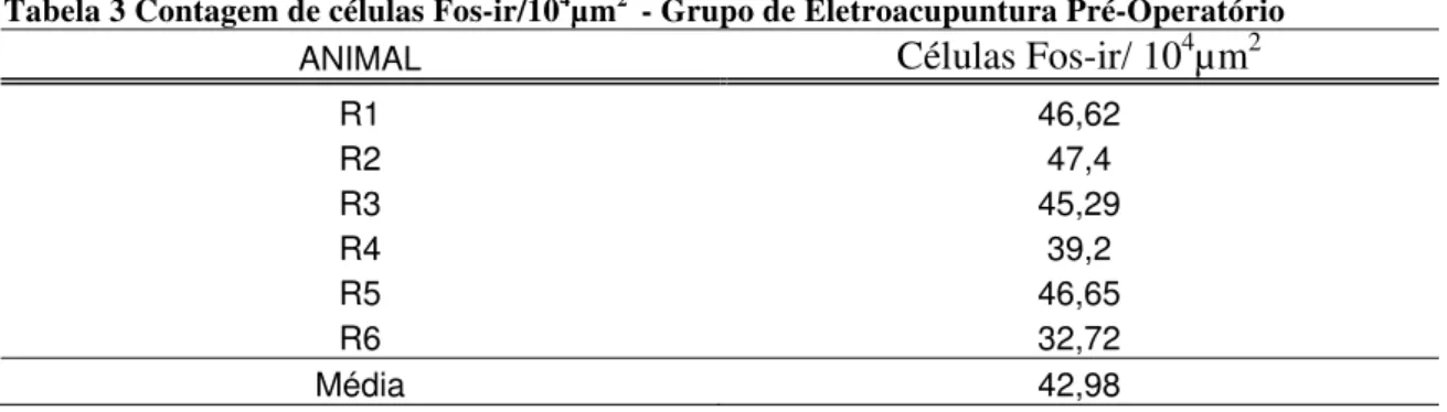 Tabela 3 Contagem de células Fos-ir/10 4 µm 2   - Grupo de Eletroacupuntura Pré-Operatório  ANIMAL  Células Fos-ir/ 10 4 µm 2