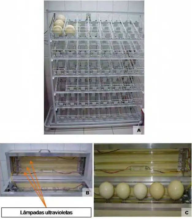 Figura 1. Equipamentos utilizados para o armazenamento e a desinfecção de ovos de  avestruzes