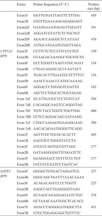 Table 1 - Primer sequences used in PCR SSCP for GSTP1 and CYP1A1.