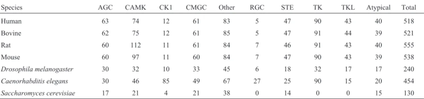 Table 1 - Protein-kinases and their distribution by groups in different genomes.