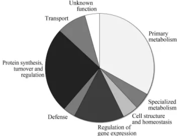 Figure 3 - Functional categorization of expressed sequence tags (ESTs) from Catha edulis leaf-derived cDNA library