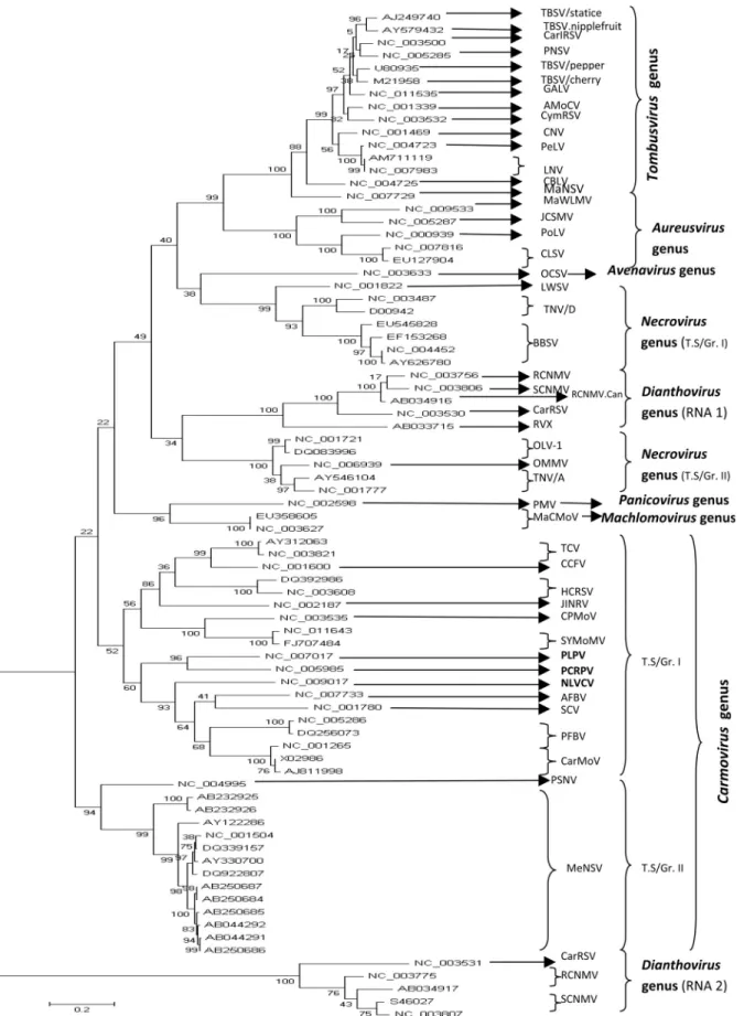 Figure 1 - Dendrogram depicting phylogenetic relationships among the studied members of the family Tombusviridae, based on their complete genome sequences