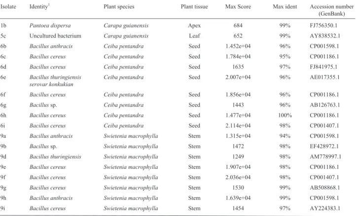 Table 1 - Identification of endophytic bacteria based on the 16S rRNA region sequence compared to sequences deposited in GenBank, using Blastn.