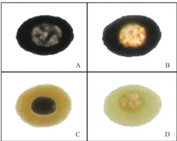 Table 1 shows the DNA strand breakage induced by BLM and 4NQO in E. johnstonei blood cells at different doses and incubation times
